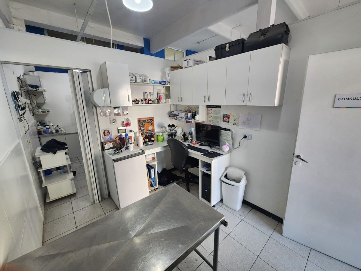 Consultorio de AikenVet: mesa de atención de acero inoxidable, muebles blancos y escritorio con computadora