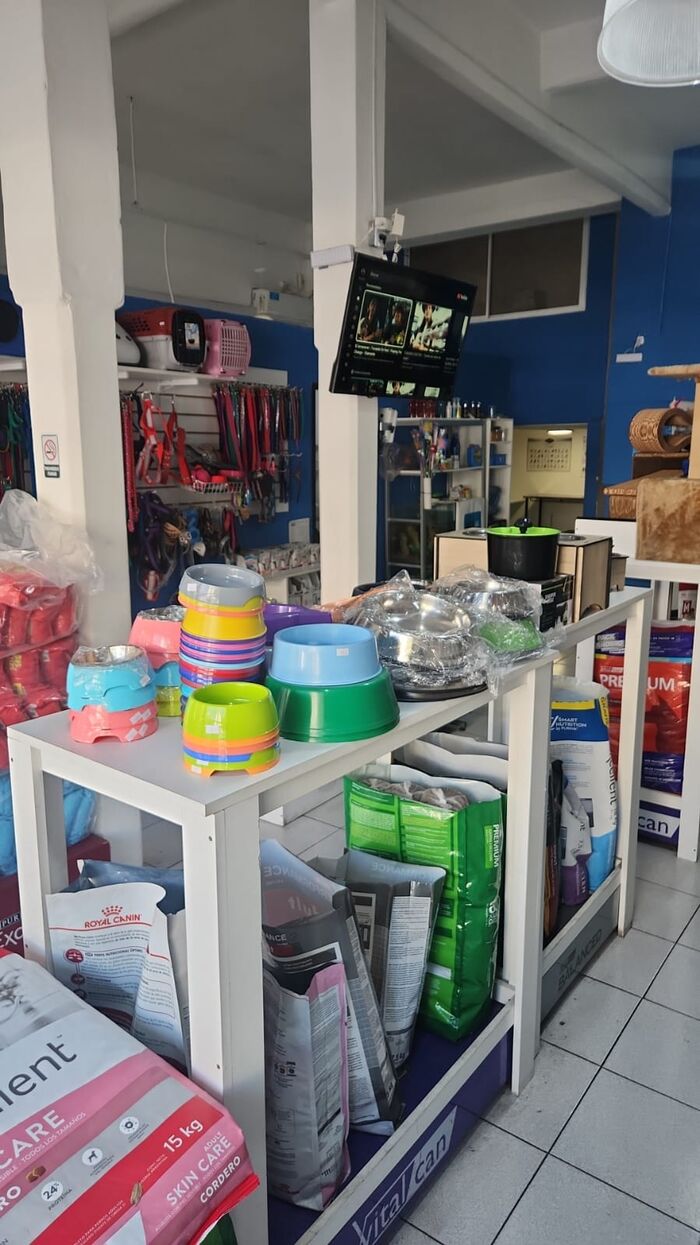 Tienda: comederos de colores, correas y alimento balanceado