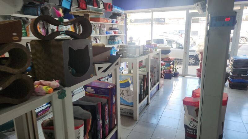 Interior de AikenVet visto hacia la entrada: estanterías con accesorios y alimentos, y la vidriera a la calle